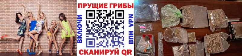 Галлюциногенные грибы мицелий  купить   mega рабочий сайт  Спасск-Рязанский 